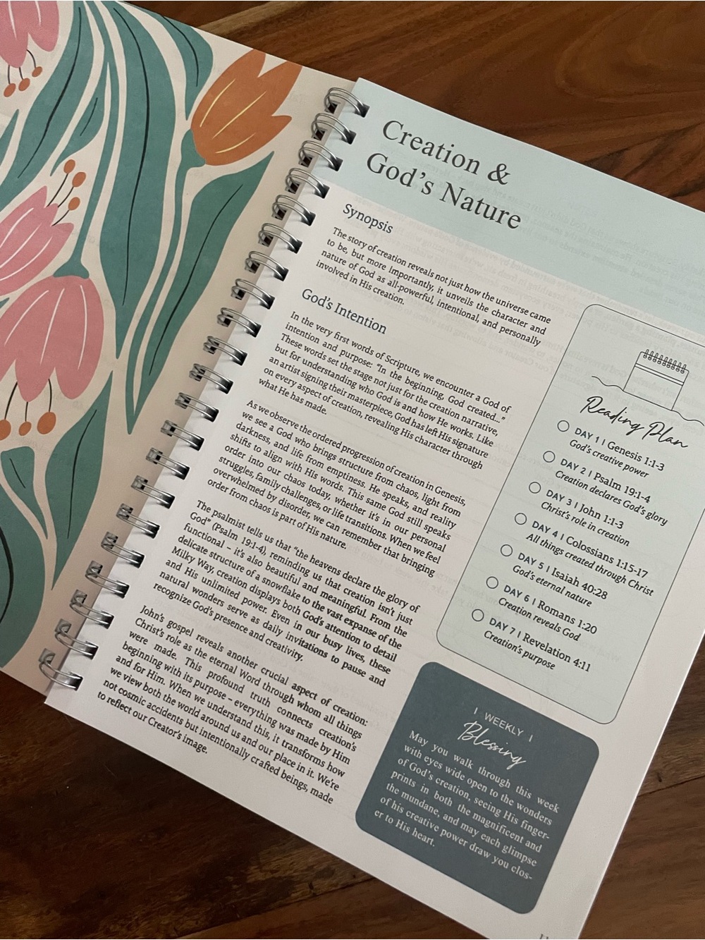 THE BIBLE IN A YEAR: A 52-WEEK JOURNEY SOFTCOVER) & Bible study guide - Picture 6 of 9